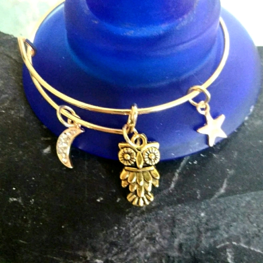'Night Owl' Earrings